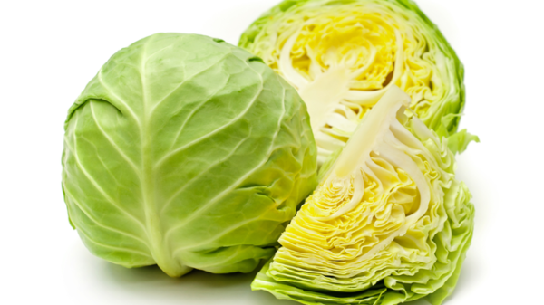 Cabbage/بند گوبھی