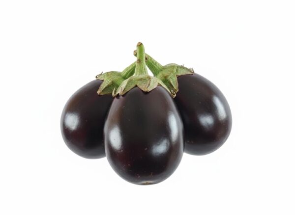 Brinjal/Eggplant/بینگن