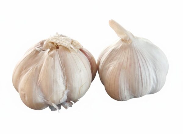 IMG-20260214-WA0012 Garlic/لہسن