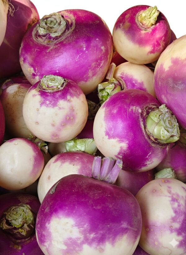 Turnip