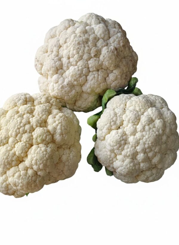 Cauliflower/گوبھی
