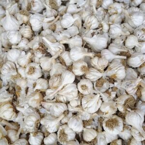 IMG-20260214-WA0046 Desi gralic/دیسی لہسن