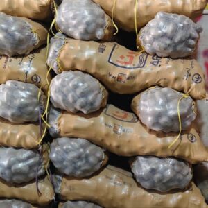 IMG-20260214-WA0049 white potato tora/سفید آلو تورا