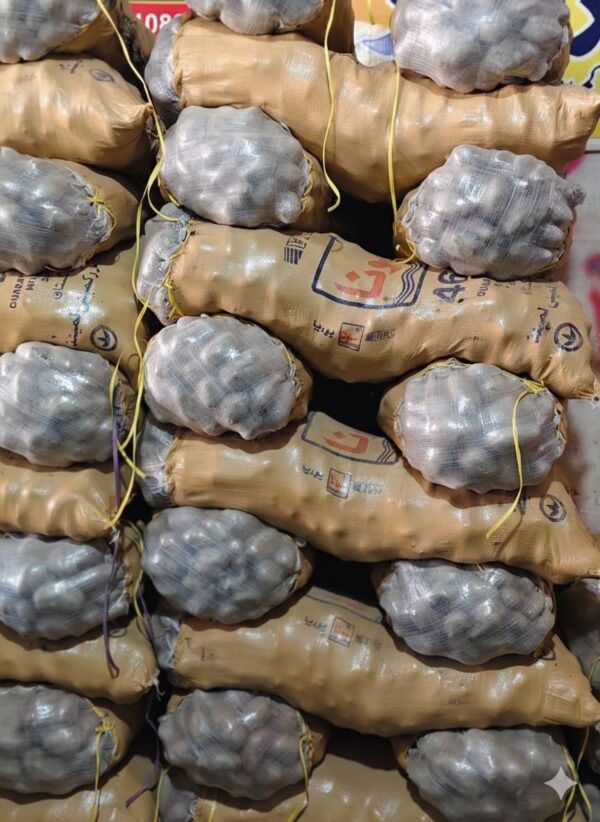 white potato tora/سفید آلو تورا