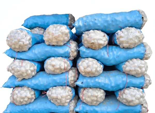 potato tora/آلو تورا