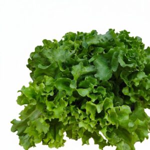 IMG-20260214-WA0051 Lettuce