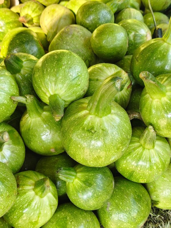 Round Zucchini/گول زچینی