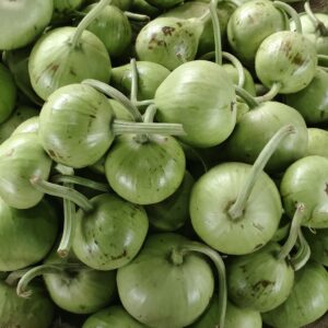 IMG_20260316_072645 Round bottle gourd/کدو