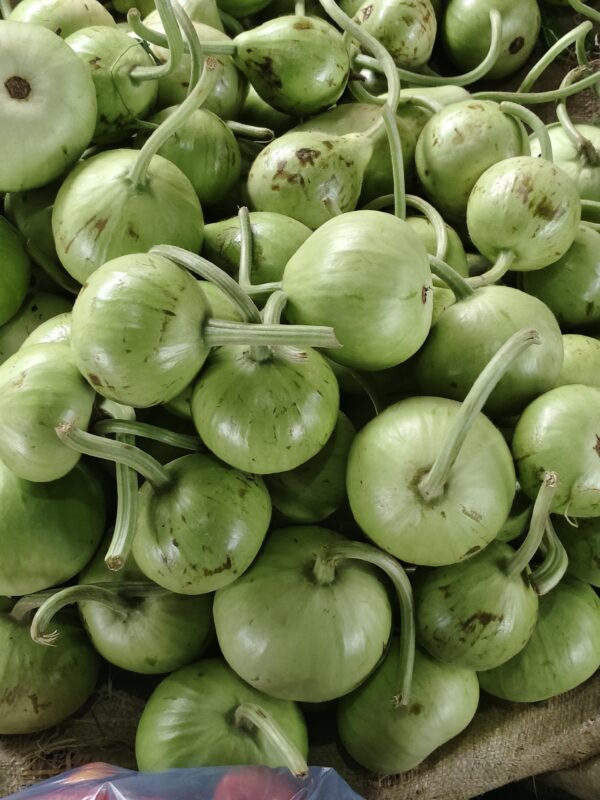 Round bottle gourd/کدو