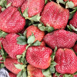 IMG_20260316_073420 Strawberry/اسٹرابیری