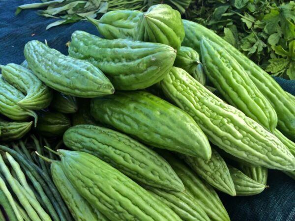 Bitter gourd/کریلا