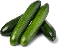 cucumber Cucumber/کھیرا