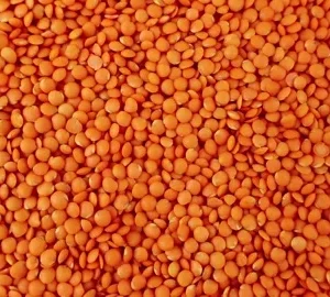 red lentils Red lentils/لال دال