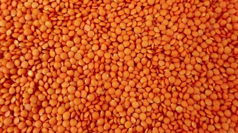 Red lentils/لال دال